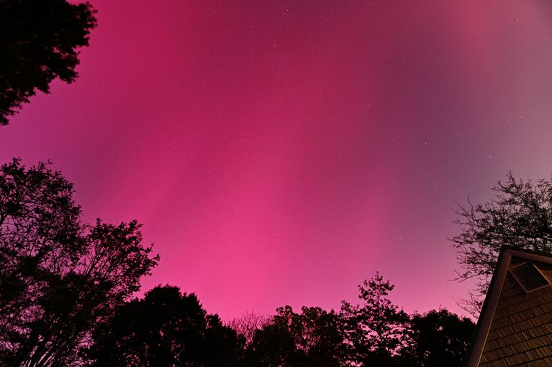 D85_3608_019.jpg