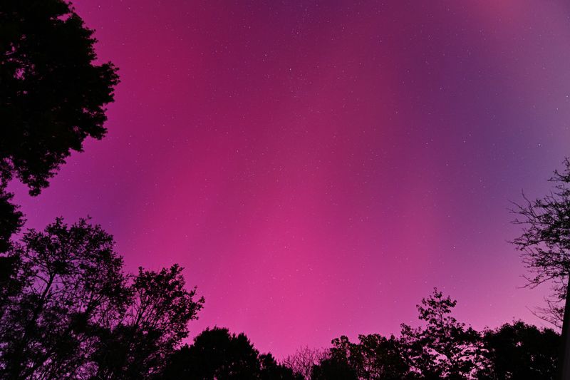 D85_3609_020.jpg