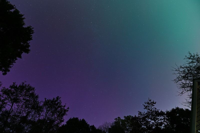 D85_3621_021.jpg