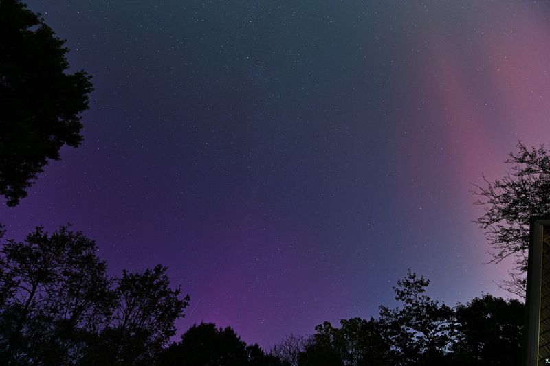 D85_3625_022.jpg