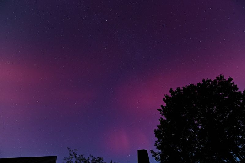 D85_3635_023.jpg