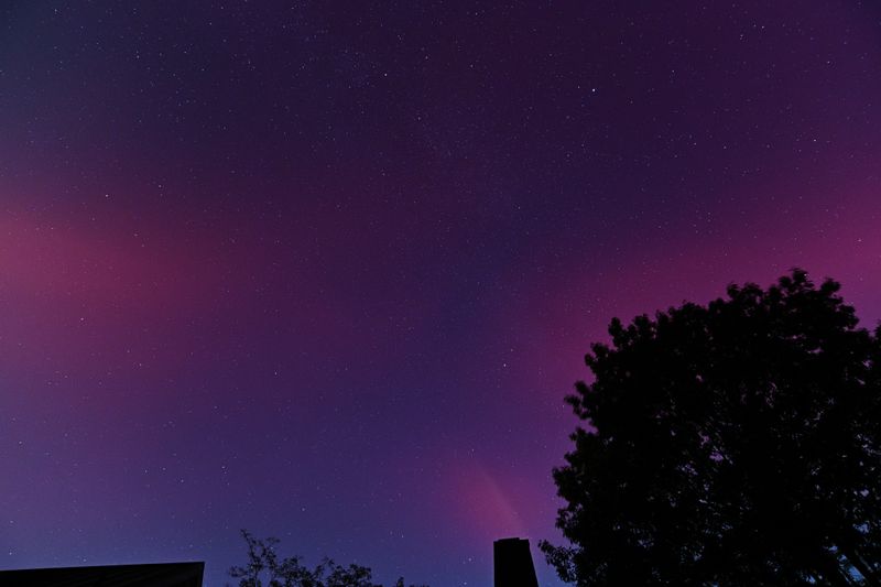 D85_3641_024.jpg