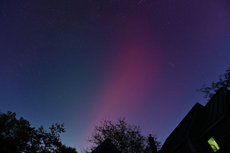 D85_3649_025.jpg
