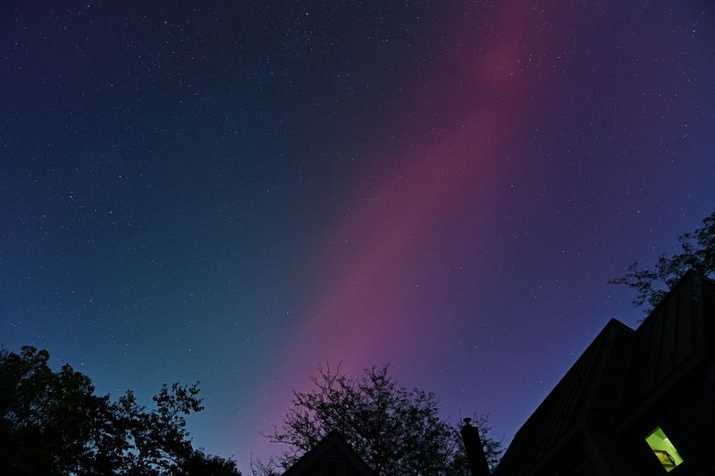 D85_3662_026.jpg