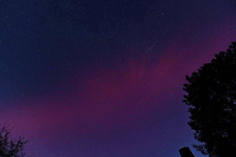 D85_3682_029.jpg