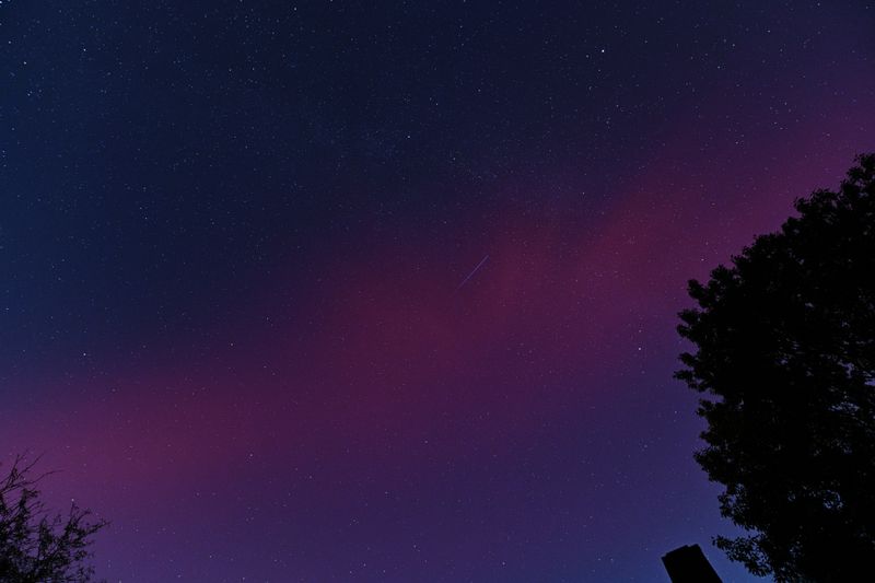 D85_3683_030.jpg