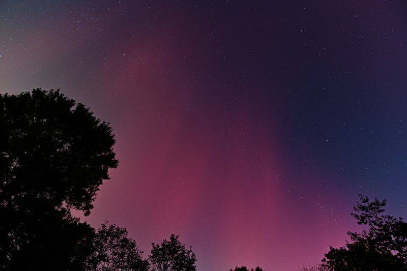 D85_3772_032.jpg