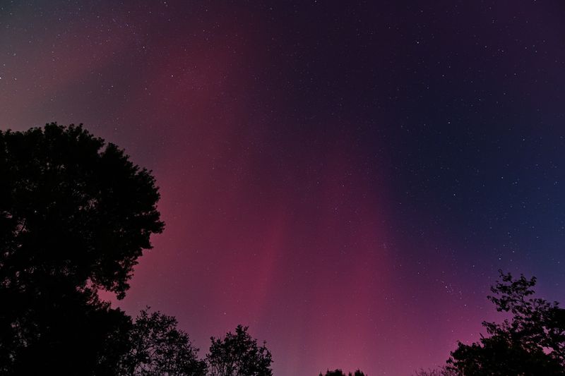 D85_3773_033.jpg