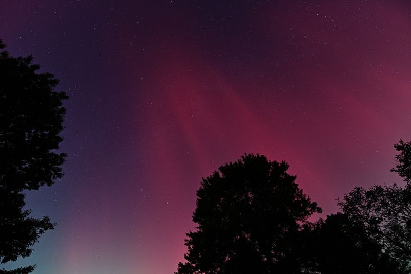 D85_3775_035.jpg
