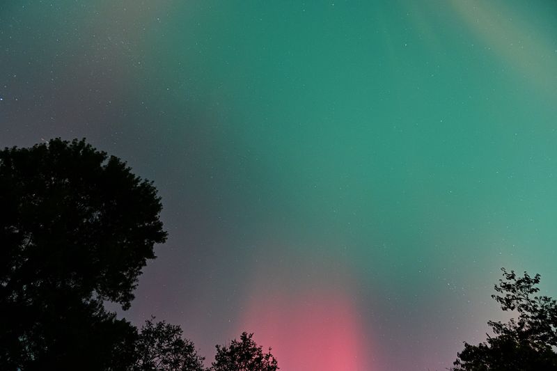 D85_3784_036.jpg