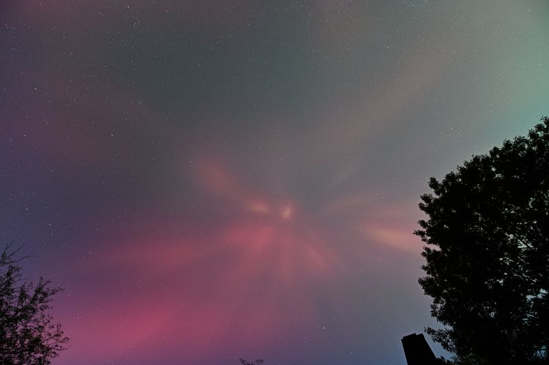 D85_3803_037.jpg
