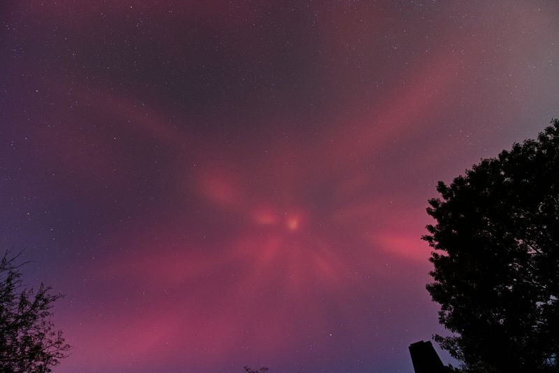 D85_3805_038.jpg