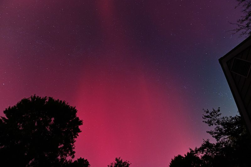 D85_3811_040.jpg