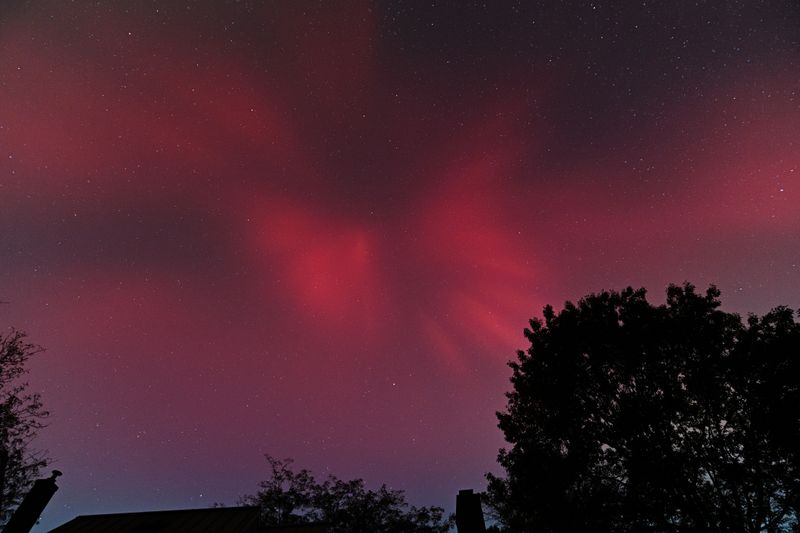 D85_3837_045.jpg