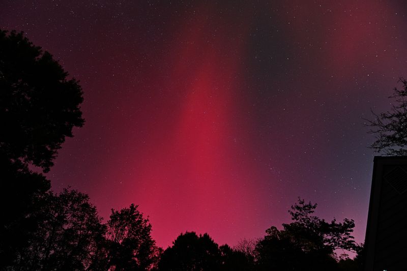 D85_3846_046.jpg
