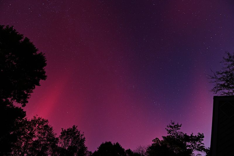 D85_3855_048.jpg