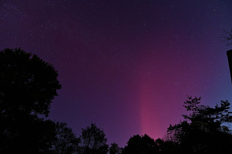 D85_3872_049.jpg