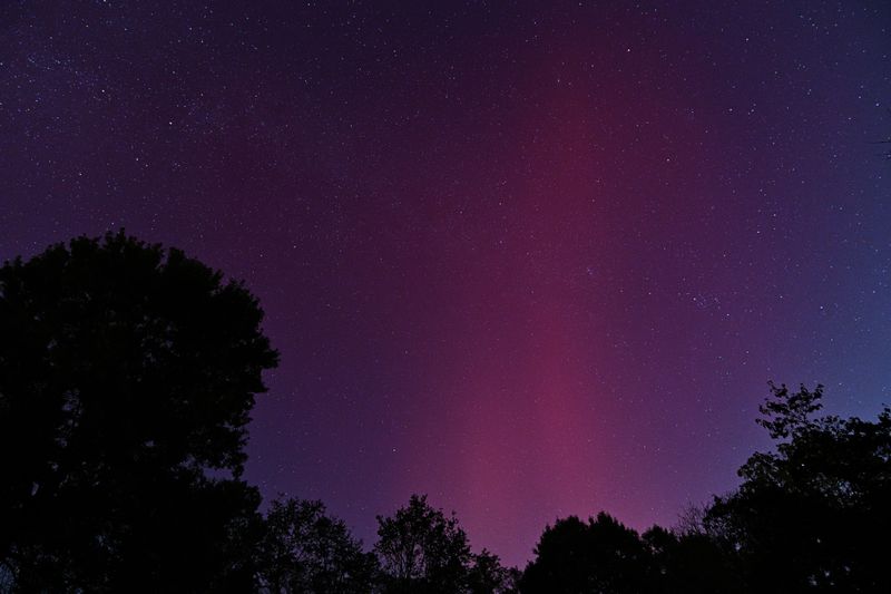 D85_3877_050.jpg