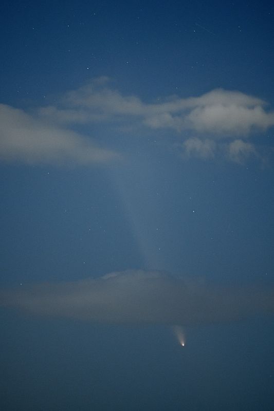 D85_4144_010.jpg