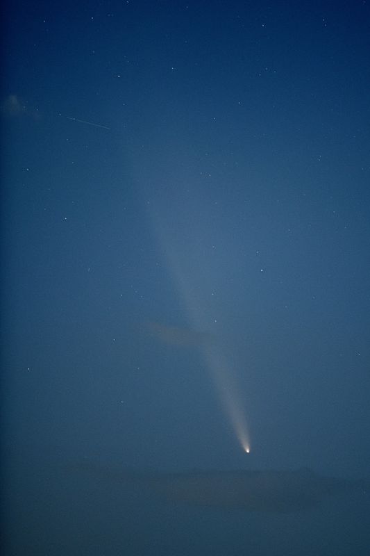 D85_4131_009.jpg