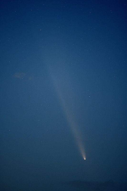 D85_4123_007.jpg