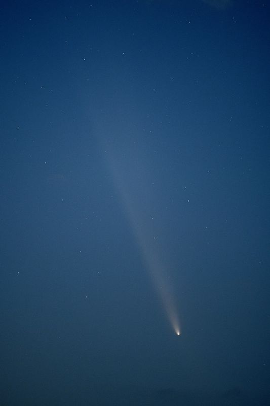 D85_4121_006.jpg