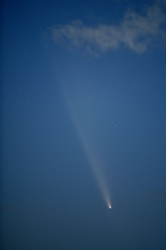 D85_4117_005.jpg