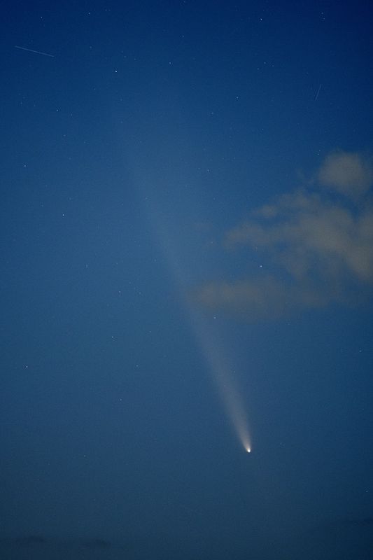 D85_4106_004.jpg