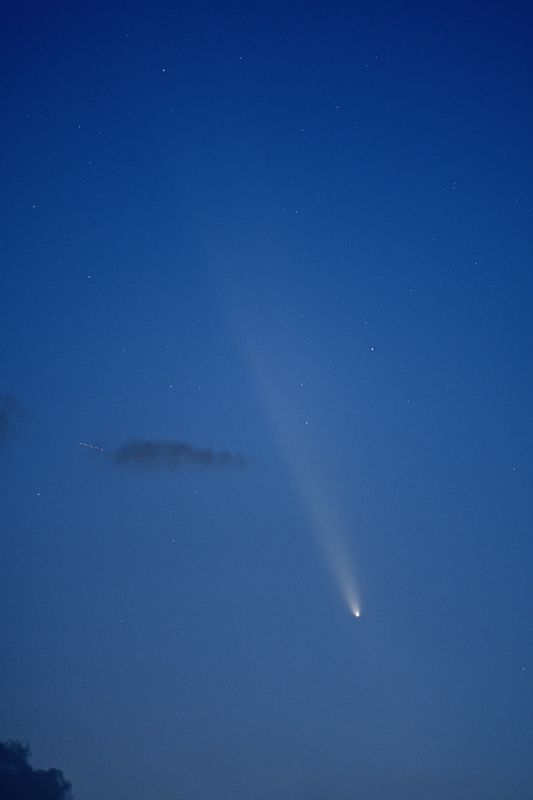 D85_4083_002.jpg