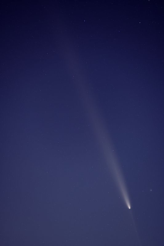 D85_4167_001s.jpg