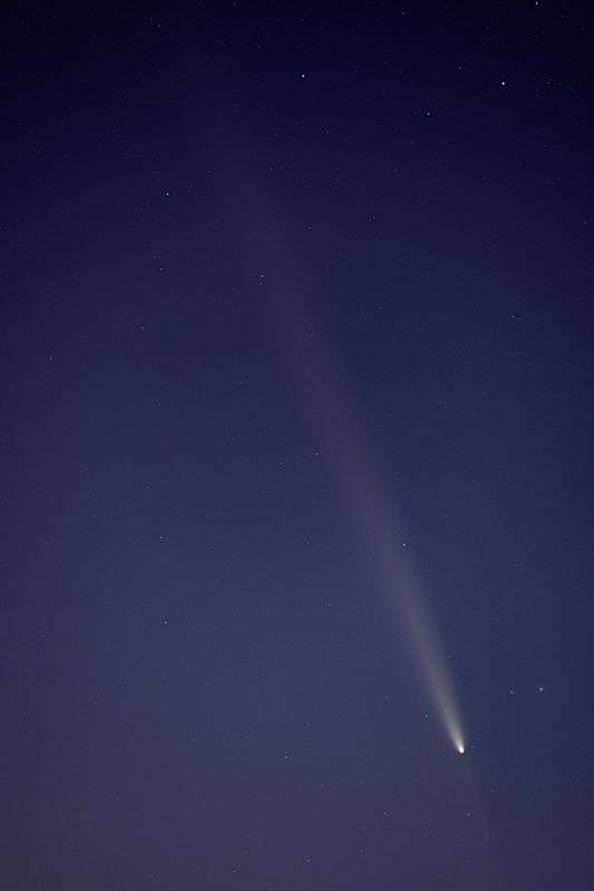 D85_4187_002s.jpg