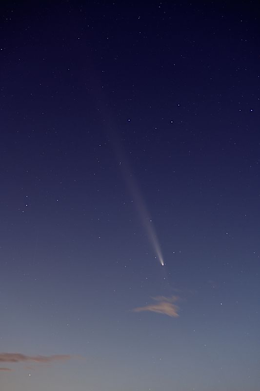 D85_4194_003s.jpg