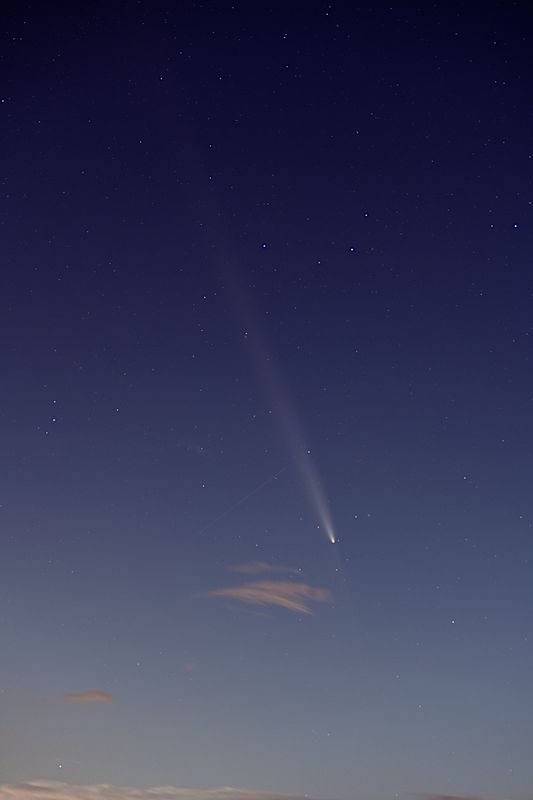D85_4198_004s.jpg