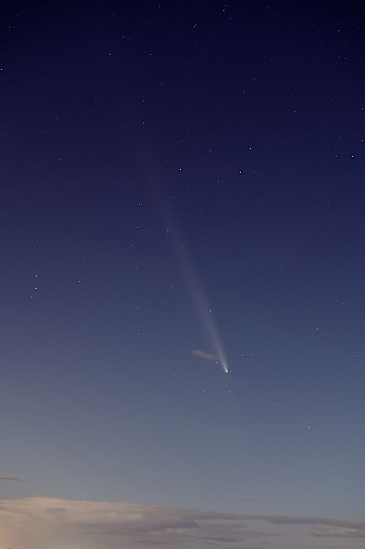 D85_4210_005s.jpg