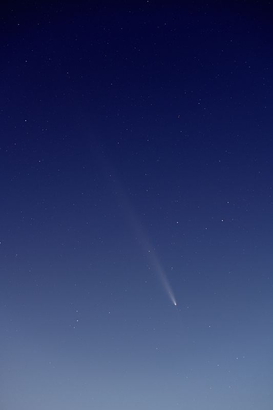 D85_4236_001.jpg