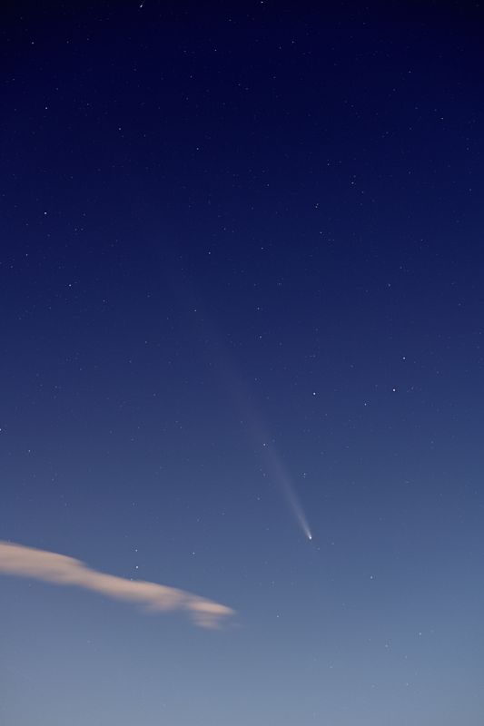 D85_4251_002.jpg