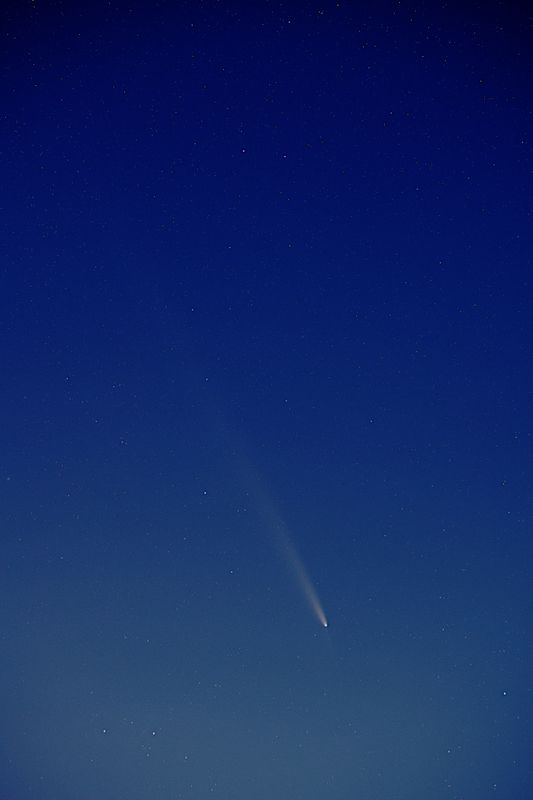 D85_4492_001s.jpg