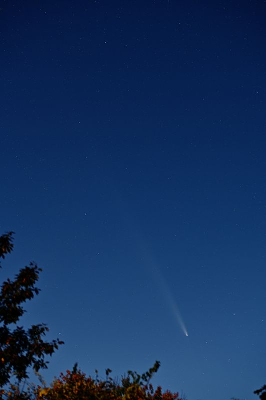 D85_4413_001s.jpg