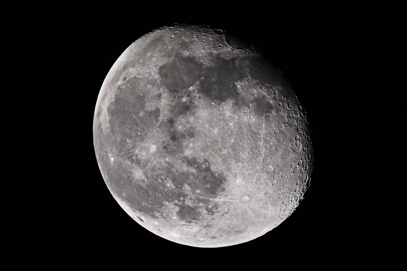 D85_4615_001s.jpg
