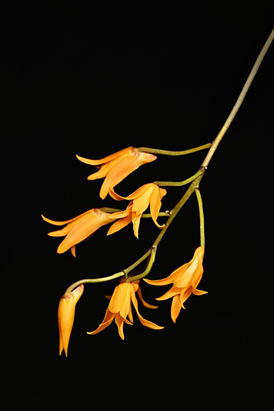 D85_4684_009s.jpg