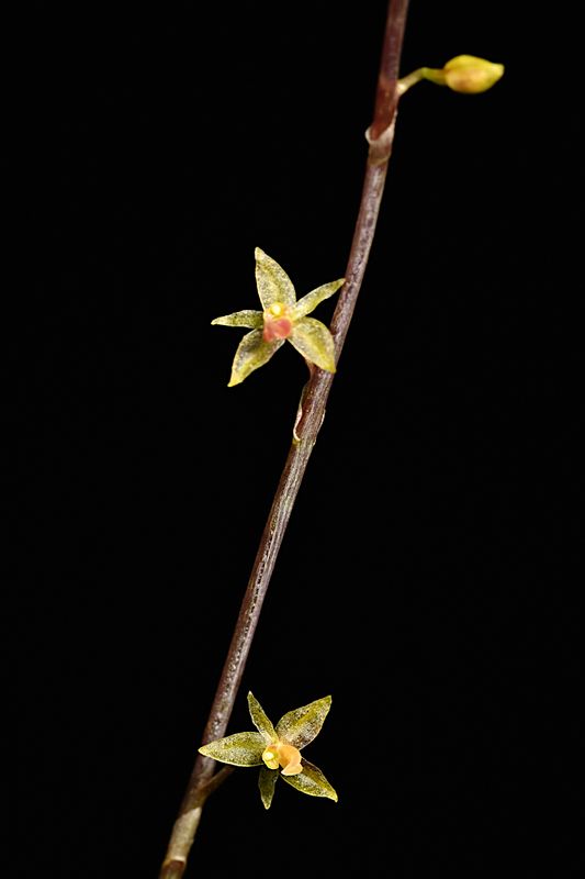 D85_4883_001s.jpg