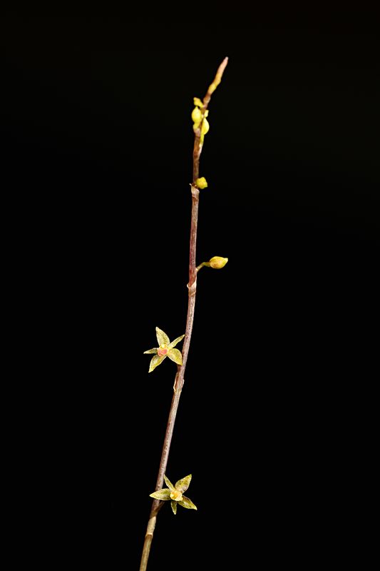 D85_4895_005s.jpg