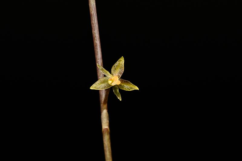 D85_4903_006s.jpg