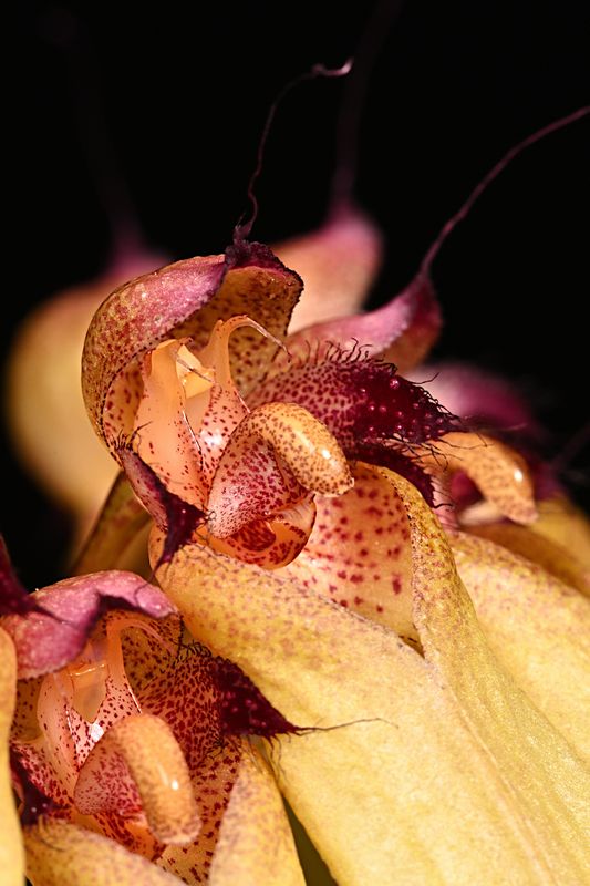 D85_4959_009s.jpg