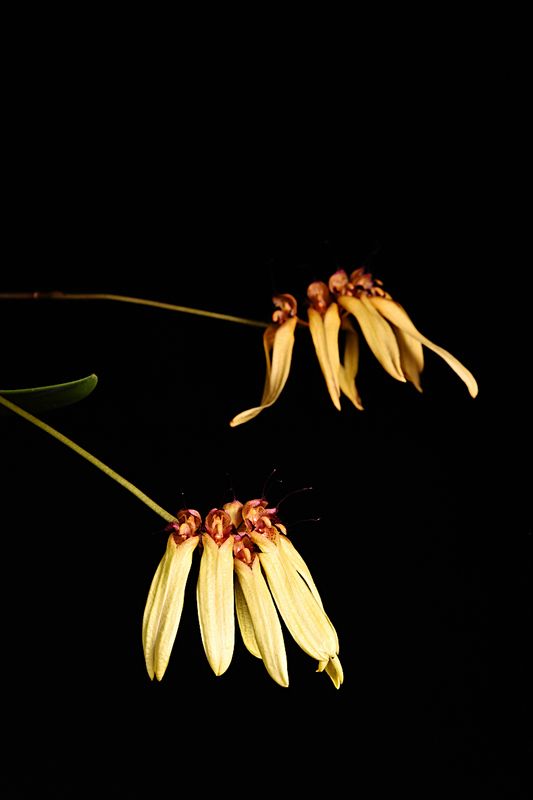 D85_4964_011s.jpg