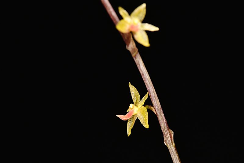 D85_4984_018s.jpg