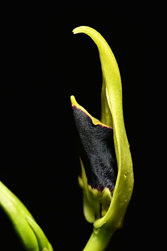 D85_5130_002s.jpg