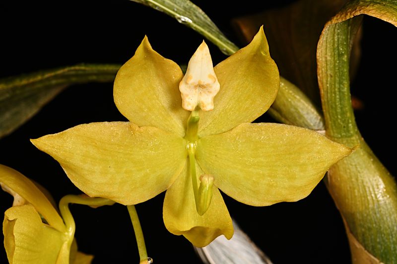 D85_5205_004s.jpg