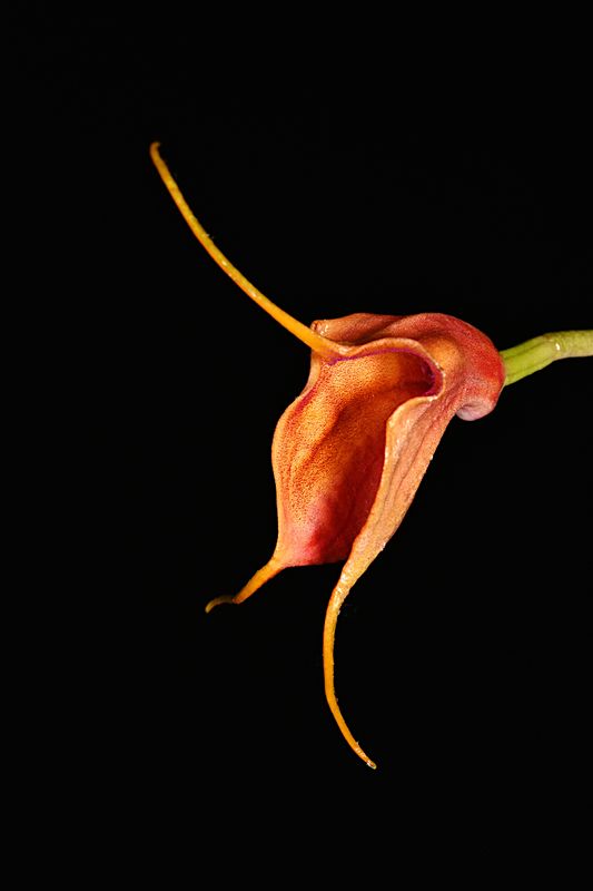D85_5354_002s.jpg