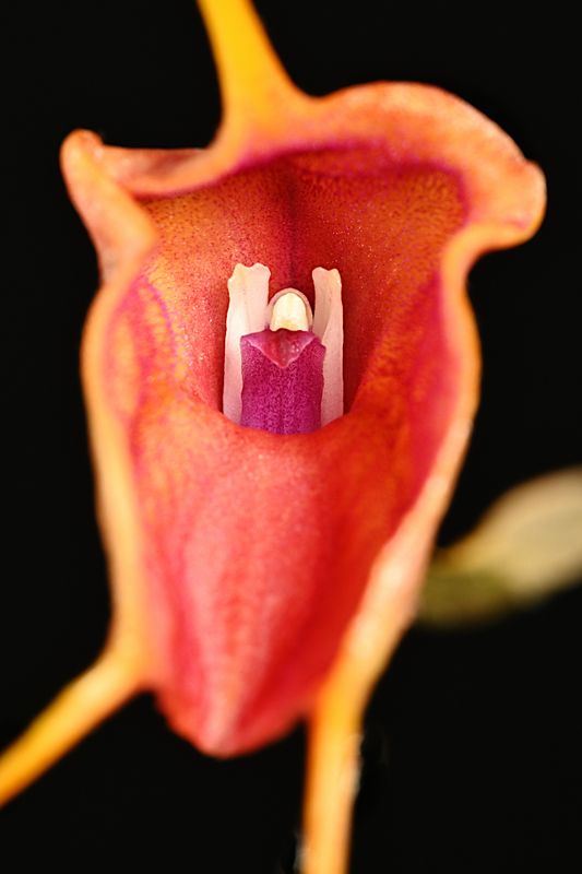 D85_5374_006s.jpg